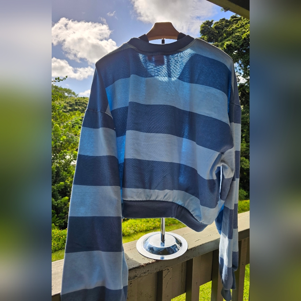 Strawberry Shortcake Cropped Fleece Graphic Sweatshirt -Striped Light Blue - Picture 7 of 12